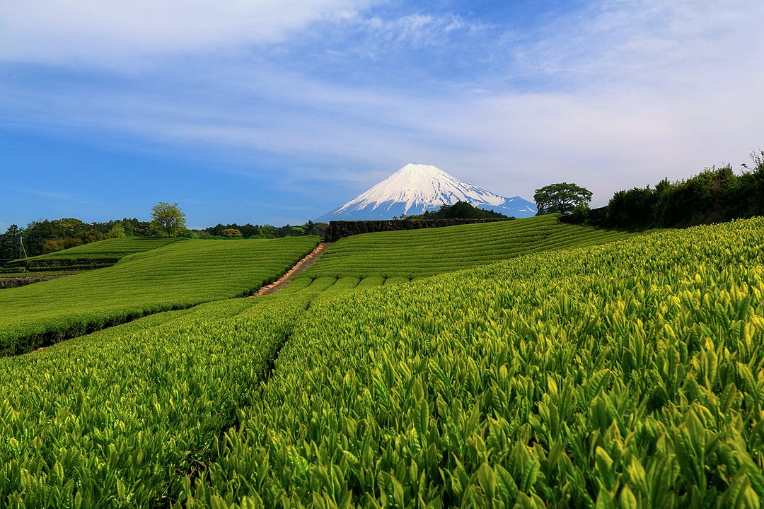 Japan